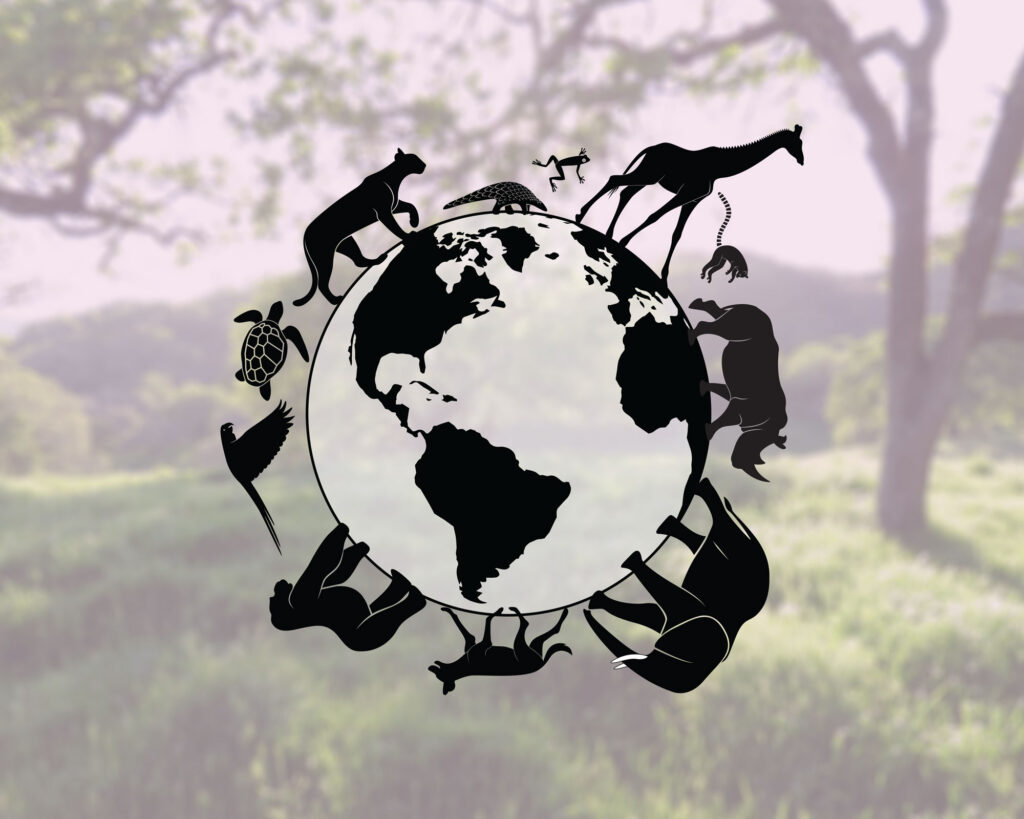 Conservation Dinner Series