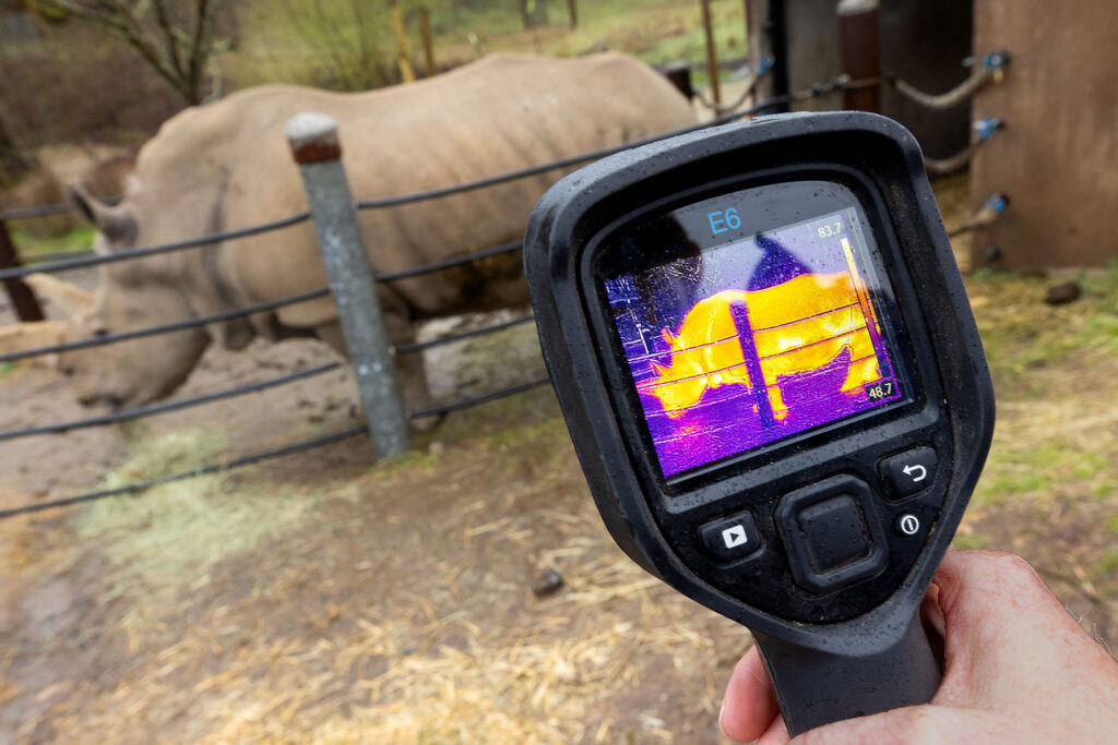 Research - Thermography of a rhino