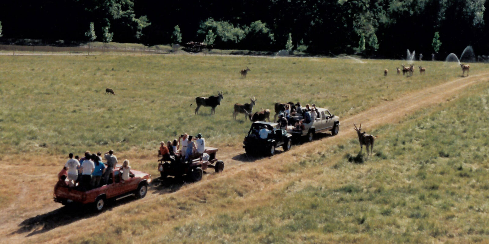 The first safari tour