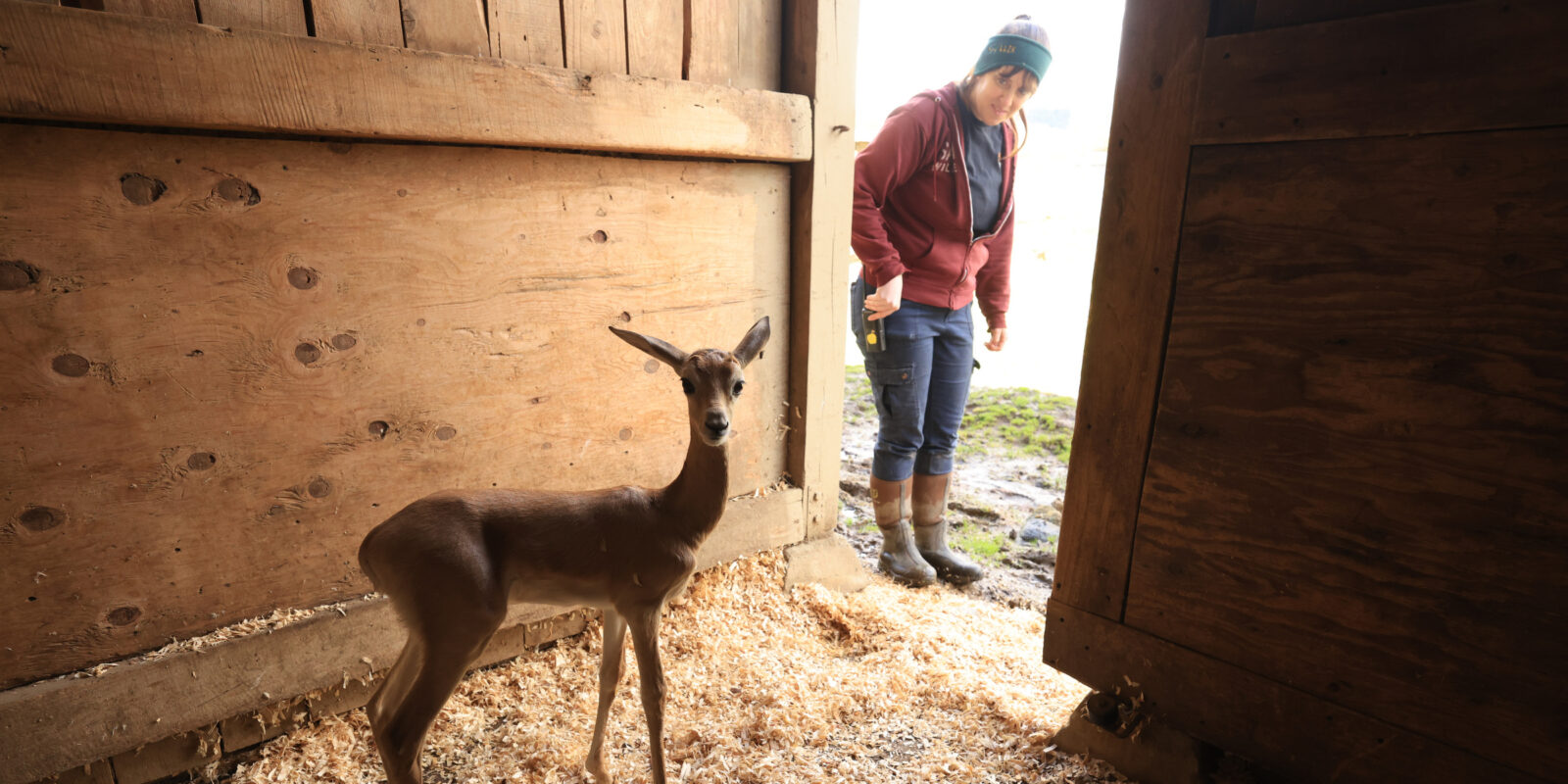 Keeper Erika Dama Galf